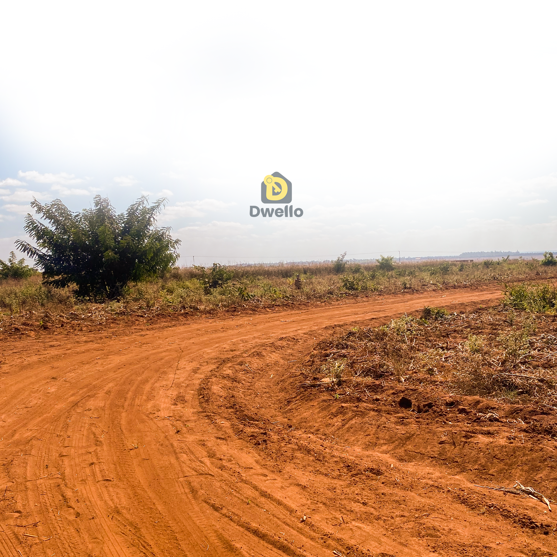 Why Location Matters More Than Price When Buying Property